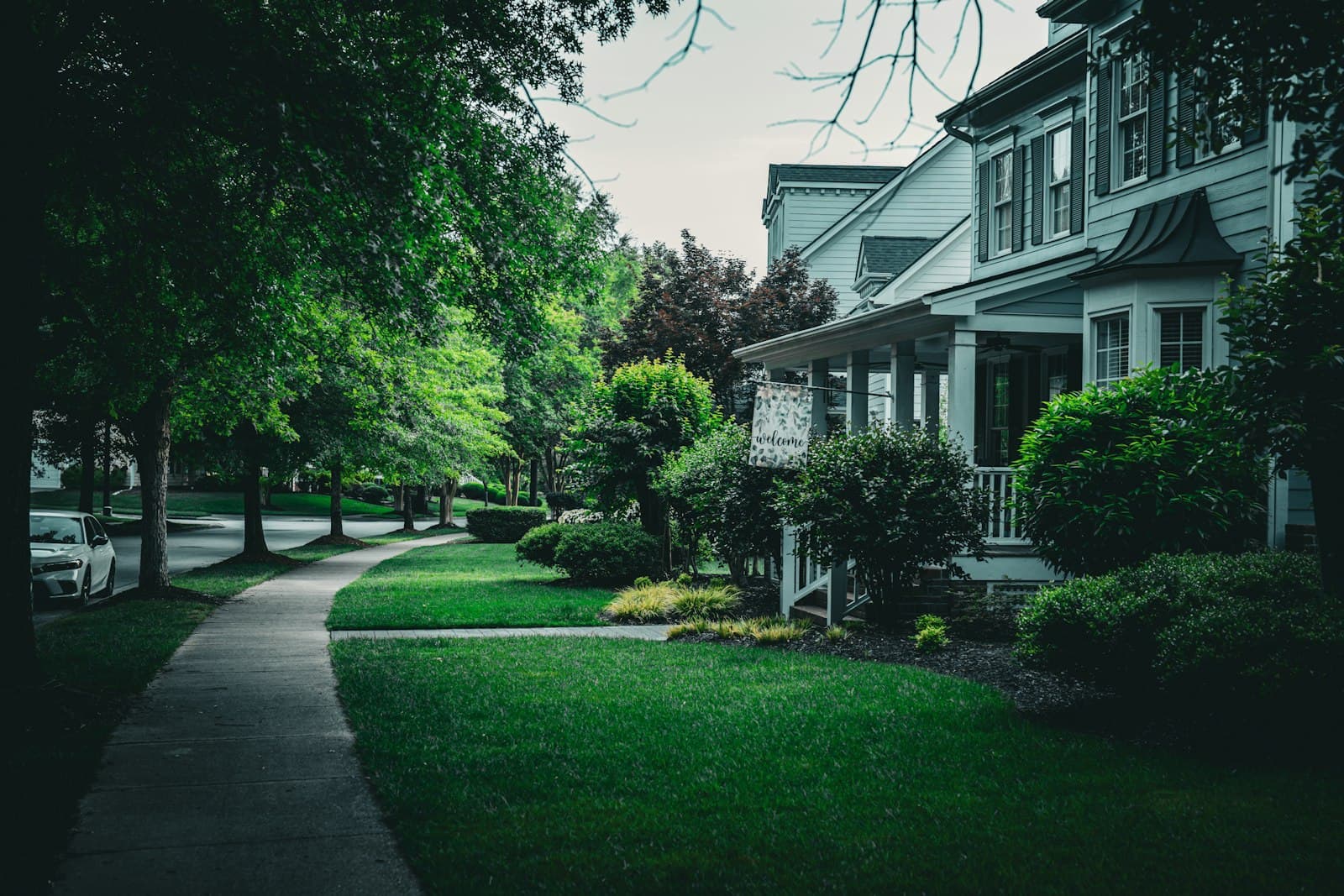 Green front lawn between a sidewalk and shrubs along a house