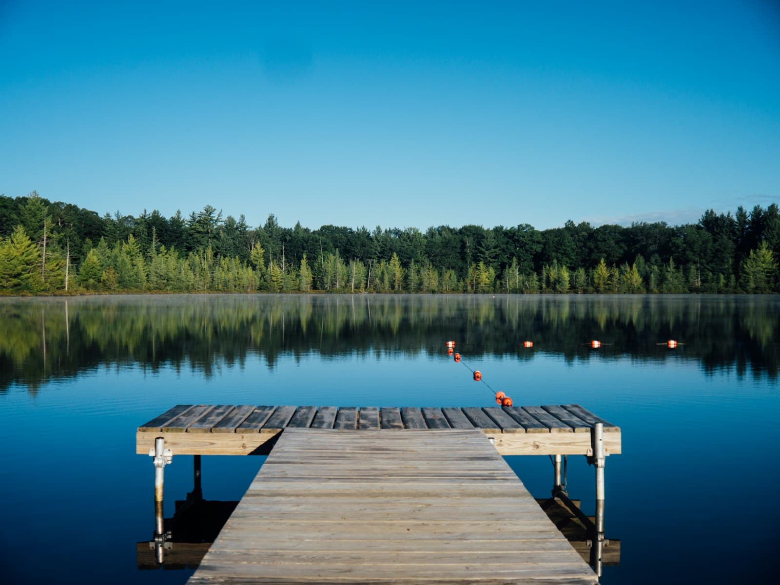 Wooden dock on a calm lake with trees along the far shore