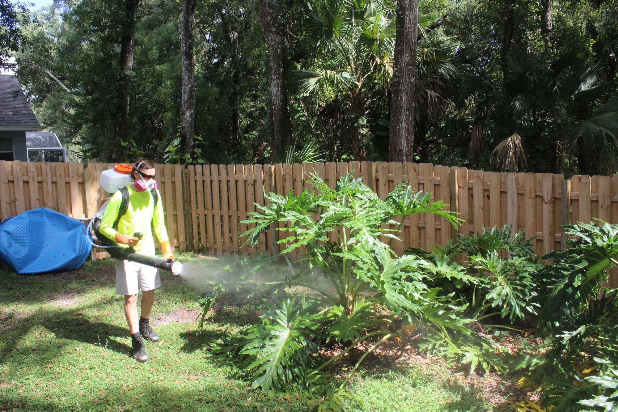 Technician treating shrubs with a mosquito sprayer along a residential perimeter